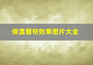 保温窗帘效果图片大全