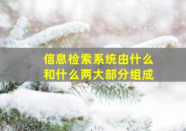 信息检索系统由什么和什么两大部分组成