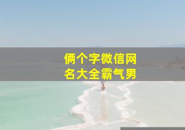 俩个字微信网名大全霸气男