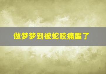 做梦梦到被蛇咬痛醒了