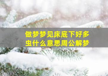 做梦梦见床底下好多虫什么意思周公解梦