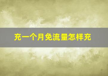 充一个月免流量怎样充