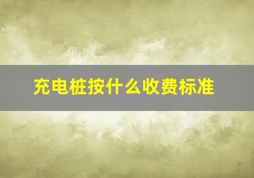 充电桩按什么收费标准