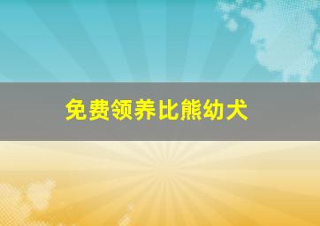 免费领养比熊幼犬