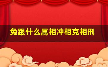 兔跟什么属相冲相克相刑