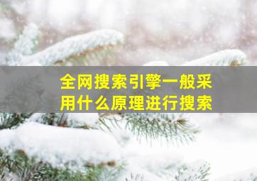 全网搜索引擎一般采用什么原理进行搜索