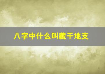 八字中什么叫藏干地支