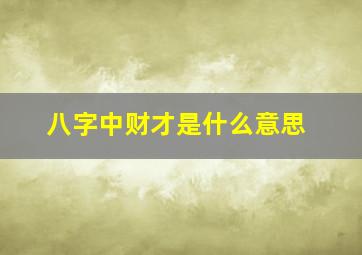 八字中财才是什么意思