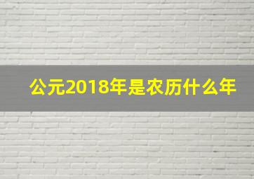 公元2018年是农历什么年