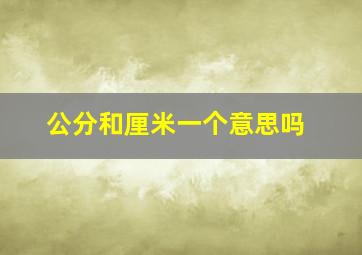 公分和厘米一个意思吗