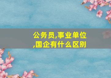 公务员,事业单位,国企有什么区别