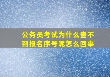 公务员考试为什么查不到报名序号呢怎么回事