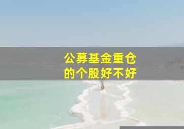 公募基金重仓的个股好不好