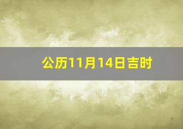 公历11月14日吉时