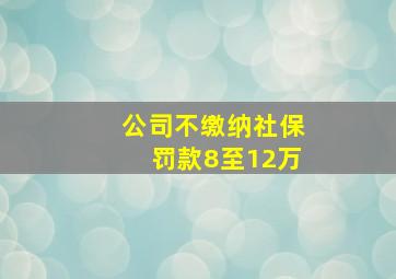 公司不缴纳社保罚款8至12万