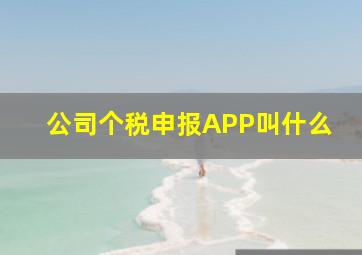 公司个税申报APP叫什么