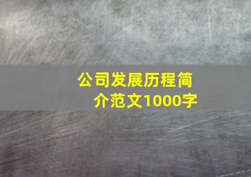 公司发展历程简介范文1000字