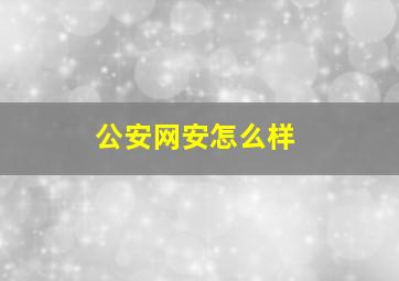 公安网安怎么样