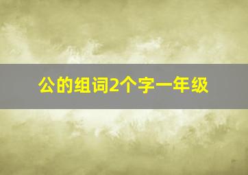 公的组词2个字一年级