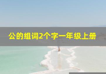 公的组词2个字一年级上册