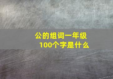 公的组词一年级100个字是什么