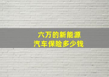 六万的新能源汽车保险多少钱