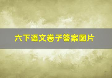 六下语文卷子答案图片