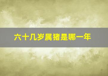 六十几岁属猪是哪一年