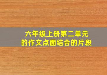 六年级上册第二单元的作文点面结合的片段