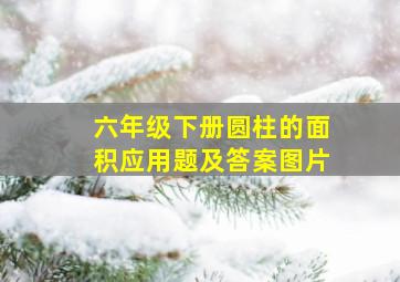 六年级下册圆柱的面积应用题及答案图片