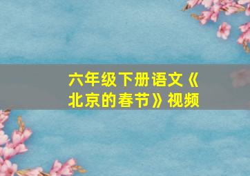 六年级下册语文《北京的春节》视频