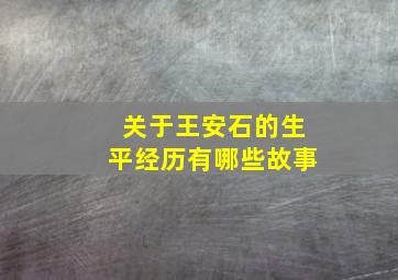 关于王安石的生平经历有哪些故事