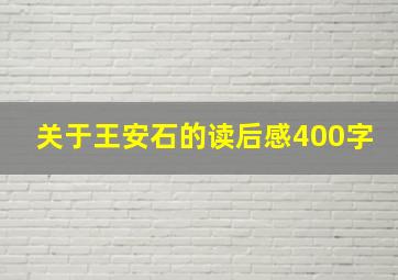 关于王安石的读后感400字