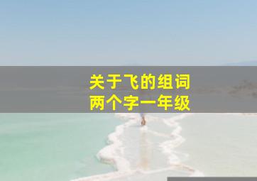 关于飞的组词两个字一年级