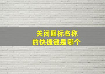 关闭图标名称的快捷键是哪个