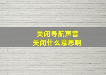 关闭导航声音关闭什么意思啊