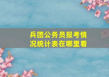 兵团公务员报考情况统计表在哪里看