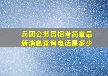 兵团公务员招考简章最新消息查询电话是多少