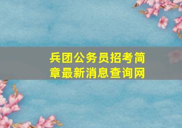 兵团公务员招考简章最新消息查询网