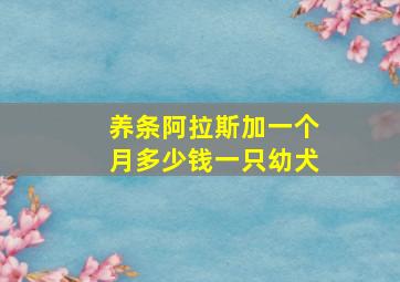 养条阿拉斯加一个月多少钱一只幼犬