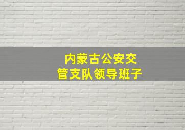 内蒙古公安交管支队领导班子