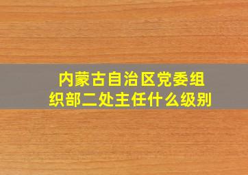 内蒙古自治区党委组织部二处主任什么级别