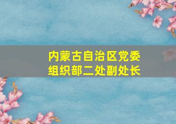 内蒙古自治区党委组织部二处副处长