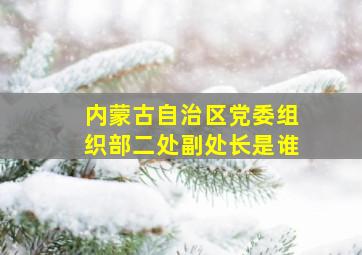 内蒙古自治区党委组织部二处副处长是谁