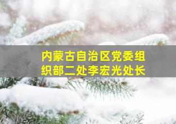 内蒙古自治区党委组织部二处李宏光处长