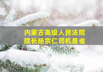 内蒙古高级人民法院院长杨宗仁司机是谁