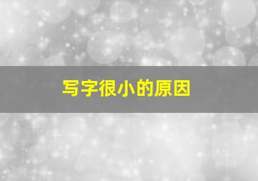 写字很小的原因