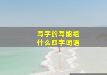 写字的写能组什么四字词语