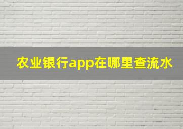 农业银行app在哪里查流水