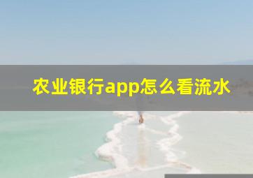 农业银行app怎么看流水